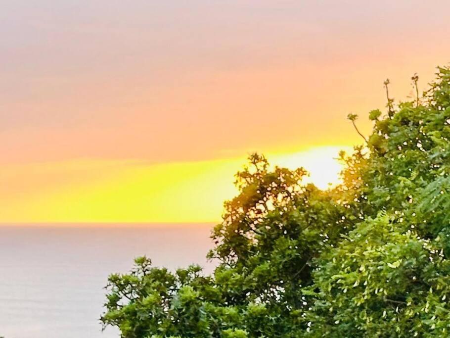 Sea View Sun Centre Apartment Плетенбърг Бей Екстериор снимка