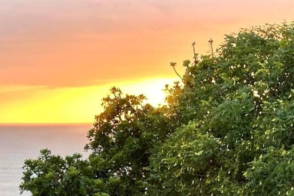 Sea View Sun Centre Apartment Плетенбърг Бей Екстериор снимка